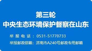 2505281228389917823.jpg